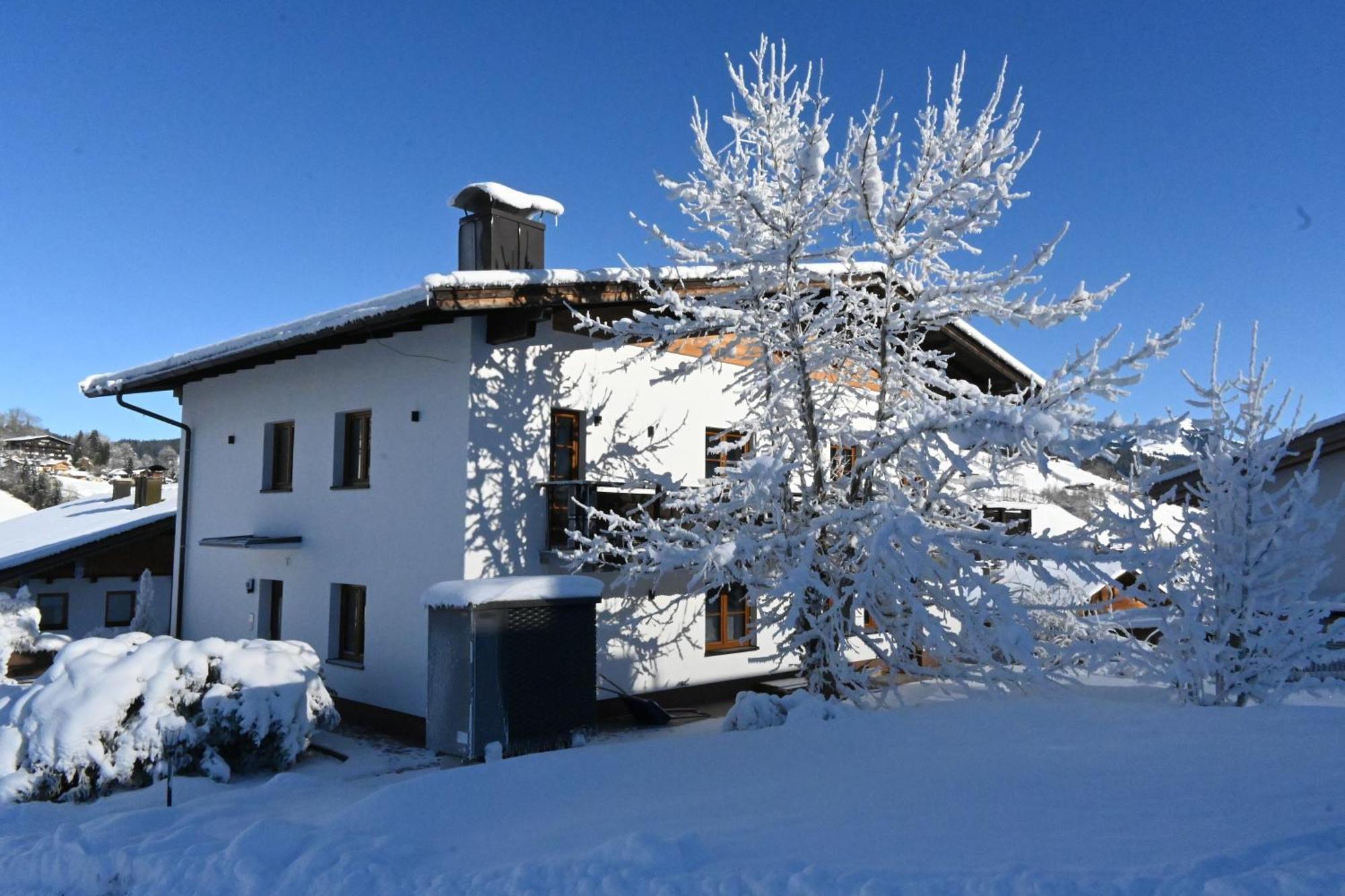 Nicky Apartments And Studios Niederau Bagian luar foto